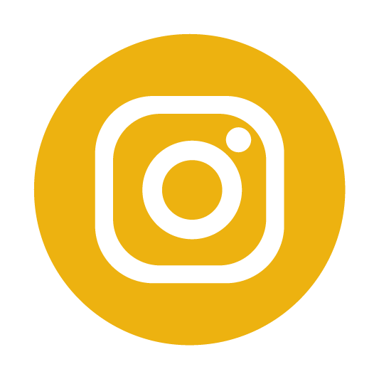 Ícone do Instagram da BRASLOC