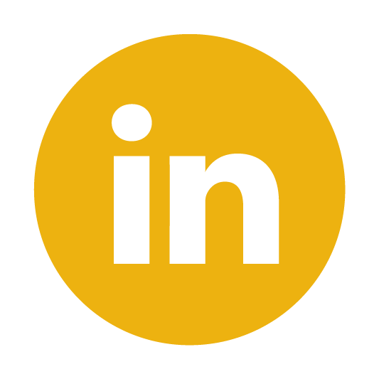 Ícone do Linkedin da BRASLOC